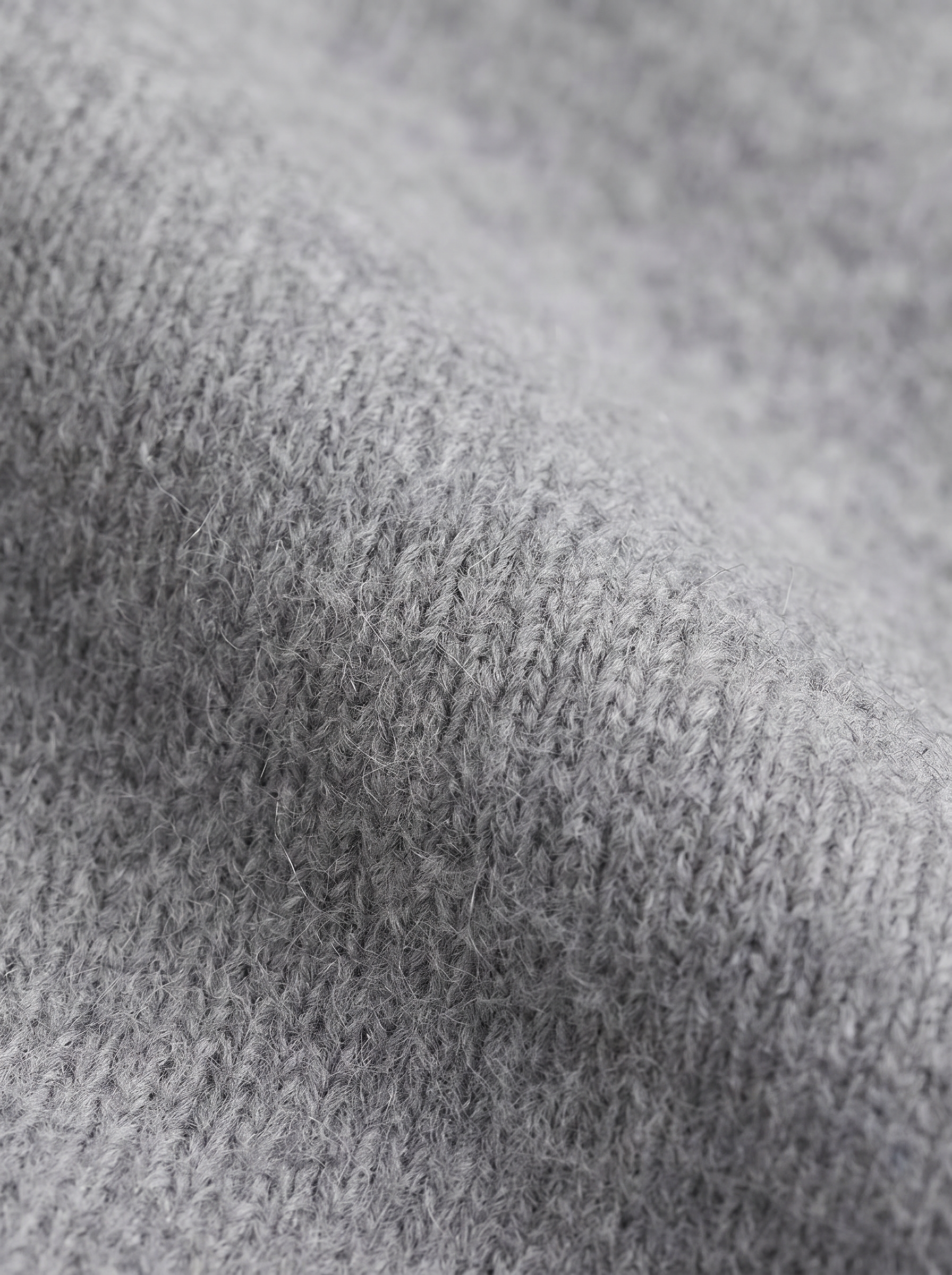 Gray|closeup