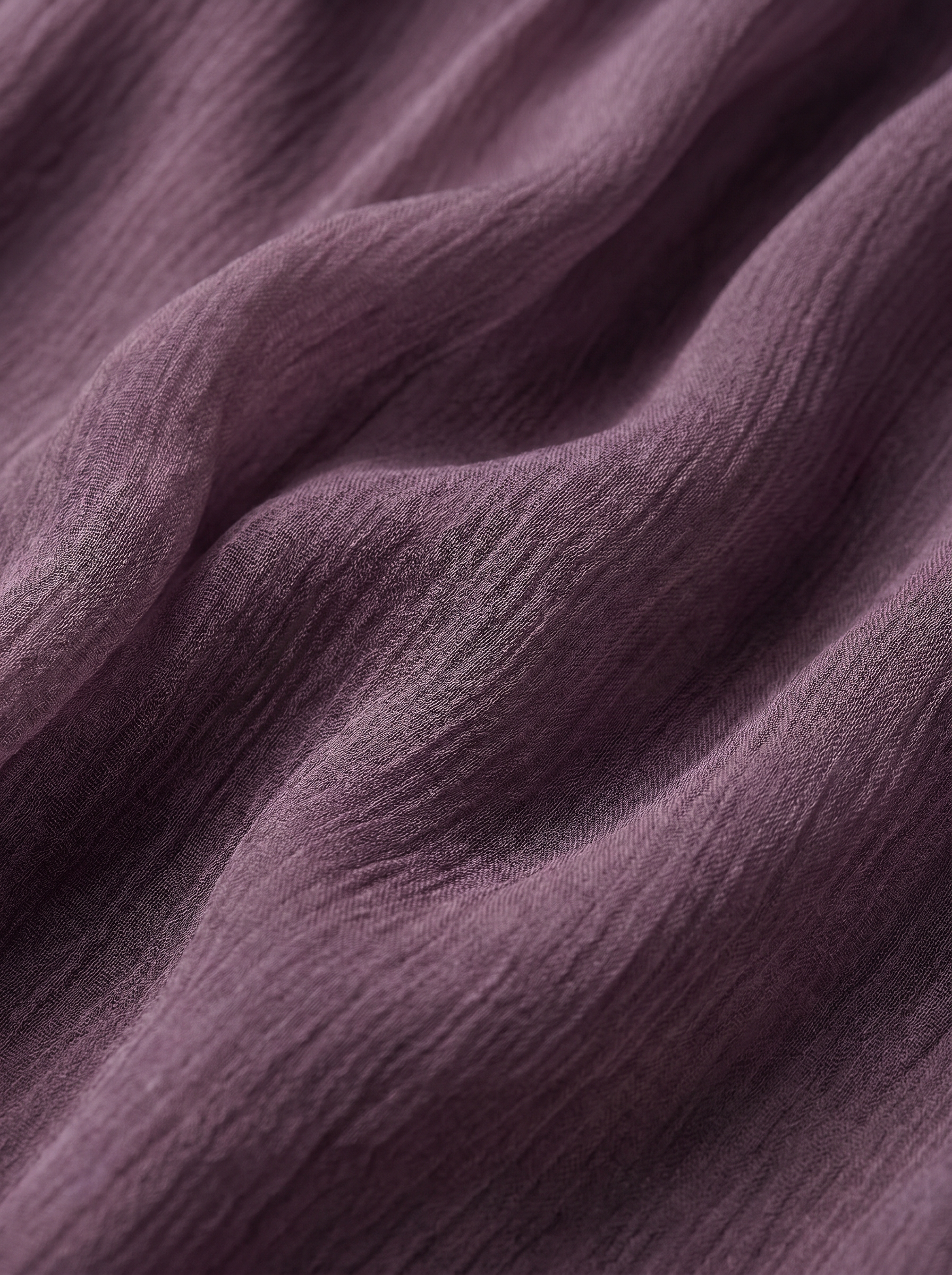 Purple|closeup
