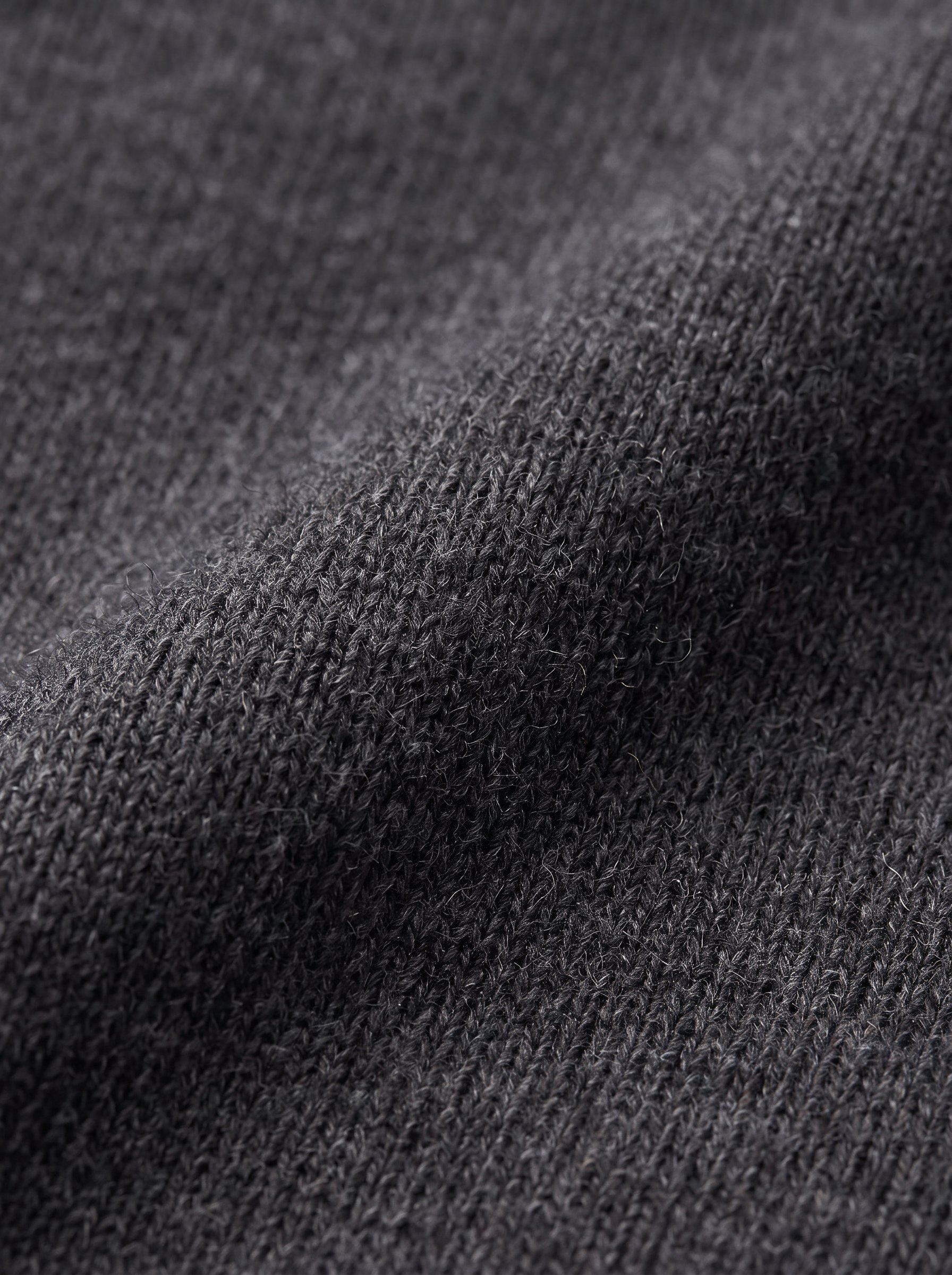 Gray|closeup