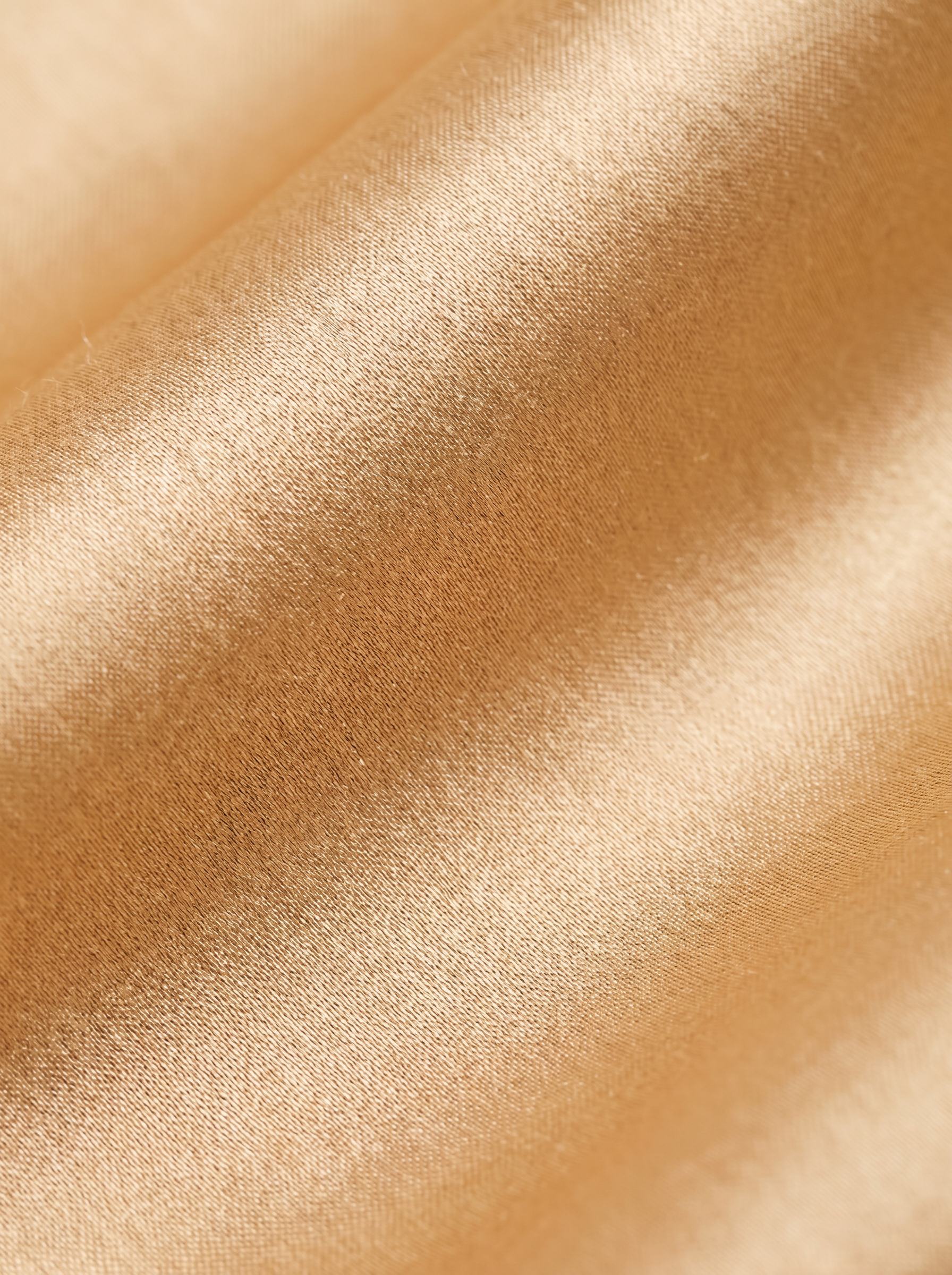 Apricot|closeup