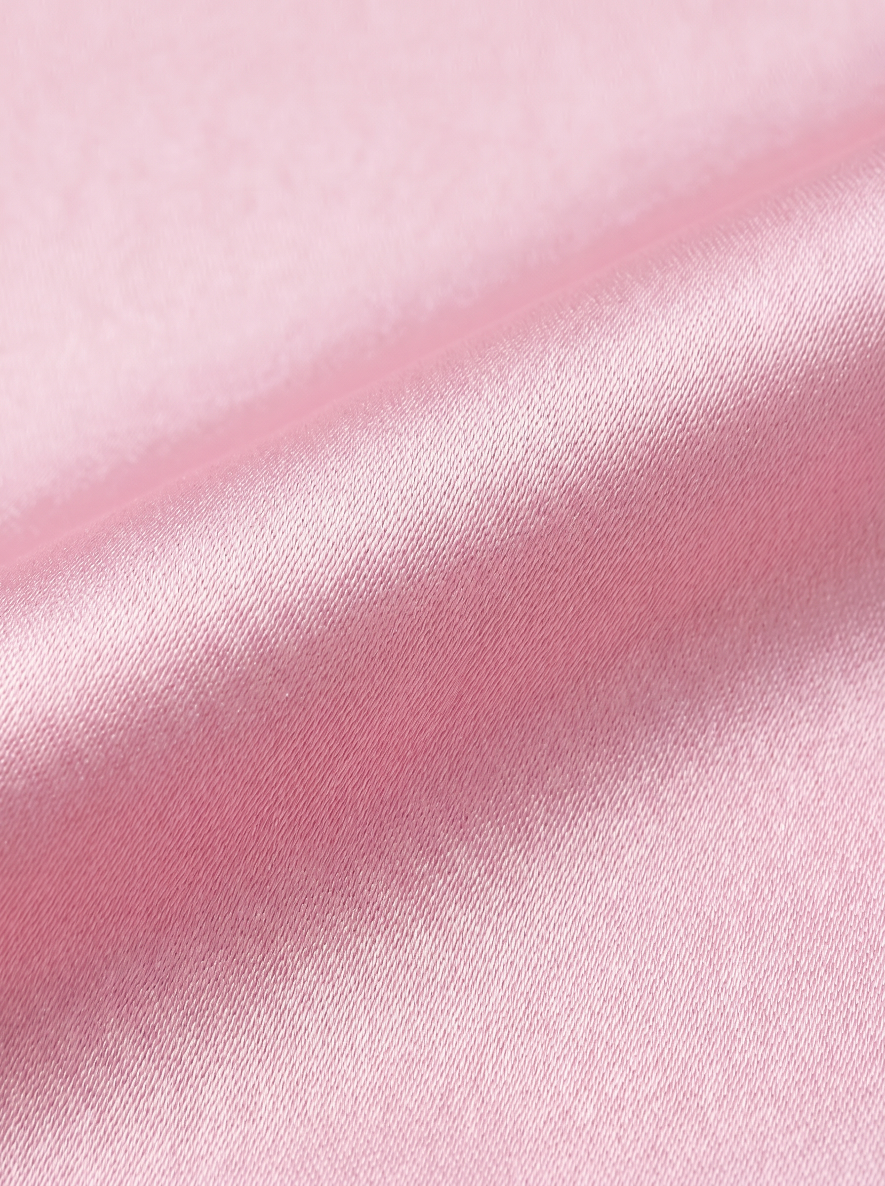 Pink|closeup