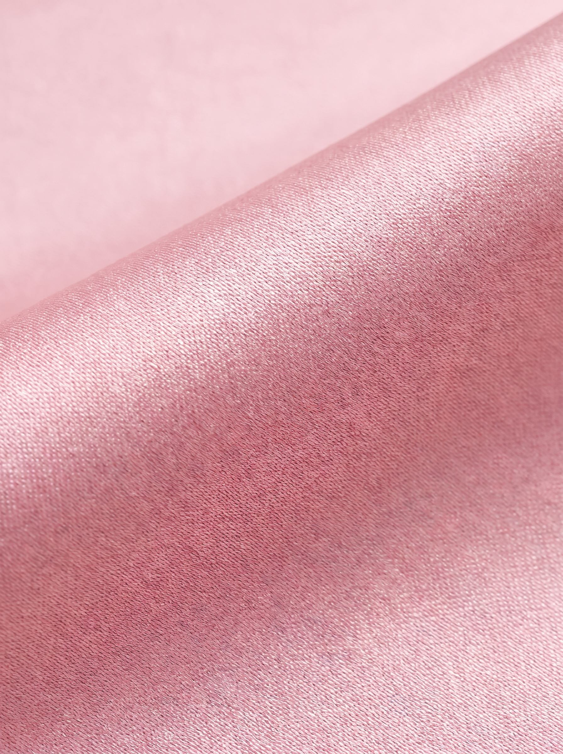Pink|closeup