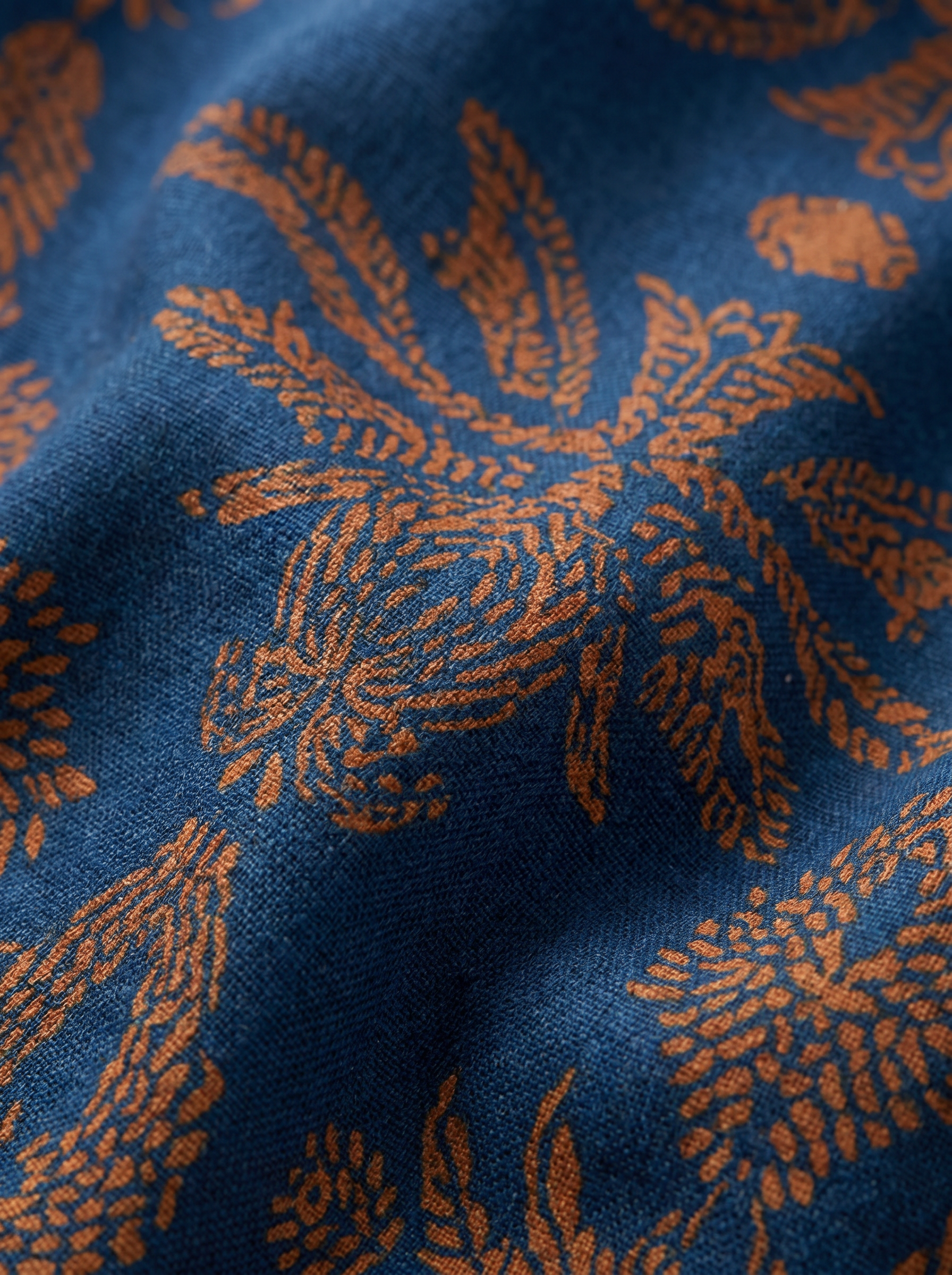 Blue|closeup