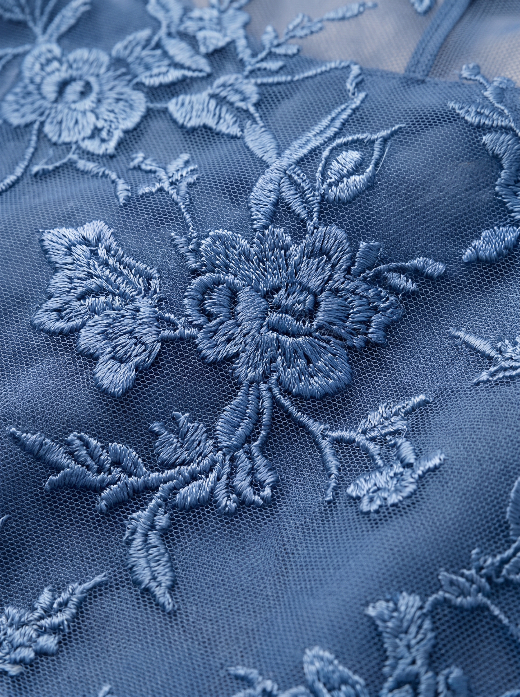 Blue|closeup